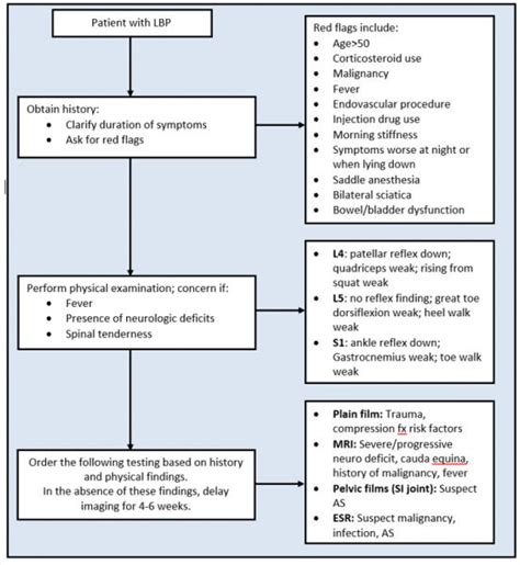 peac ims|john hopkins modules internal medicine.